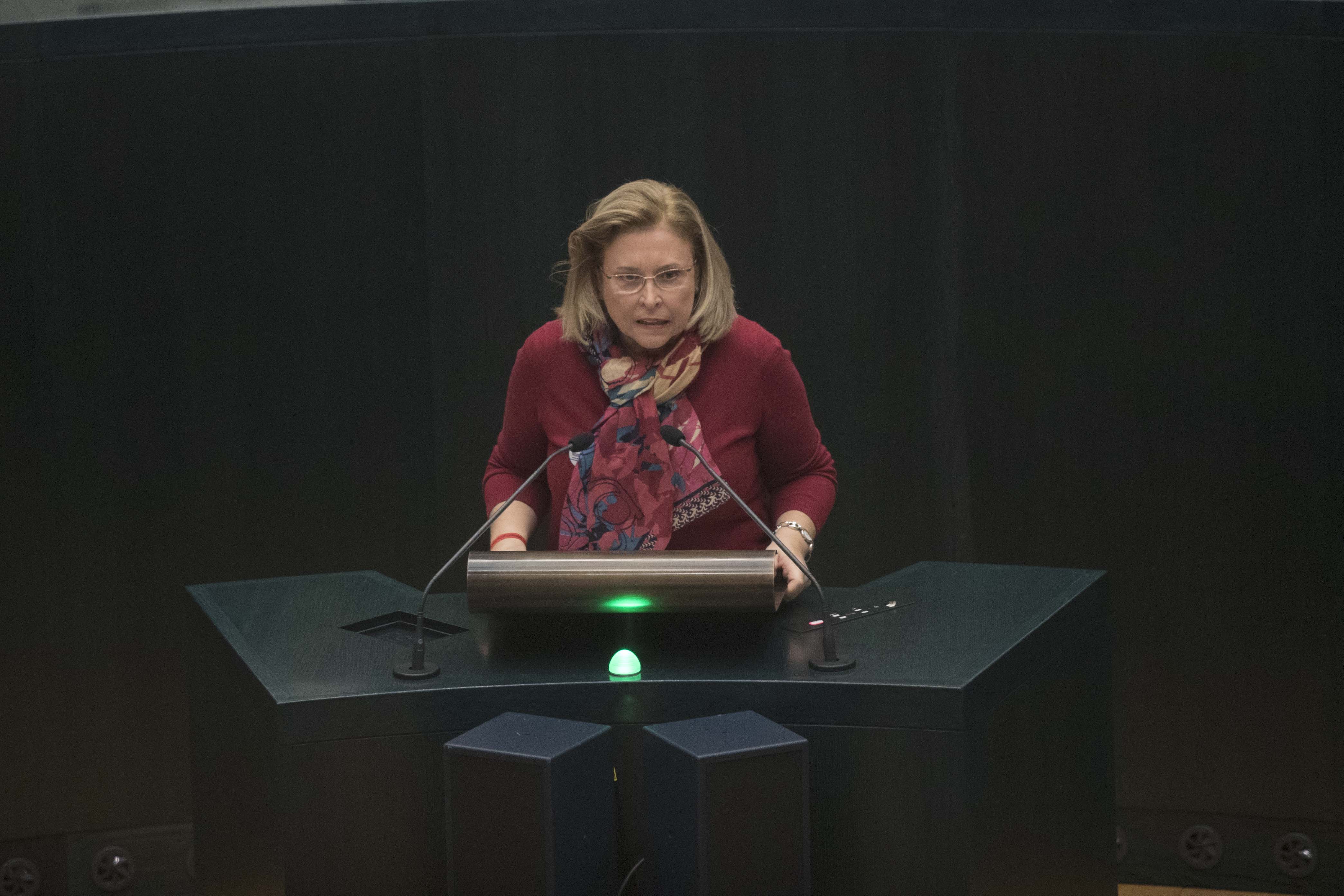 Intervención de Beatriz Elorriaga en la sesión extraordinaria del Pleno municipal
